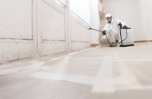 24/7 Emergency Basement Mold Remediation experts in Odessa, TX