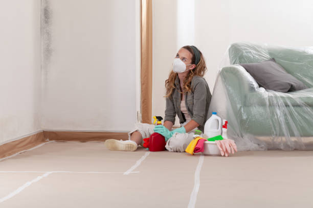 Reliable Basement Mold Remediation contractor in Odessa, TX by Mold Remediation HQ